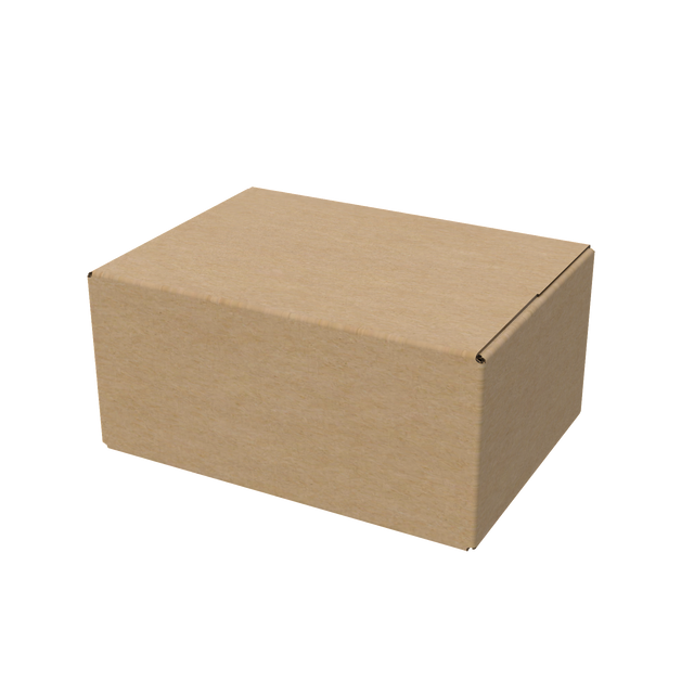 Natural kraft A4 medium regular carton box closed for eco-friendly, sturdy packaging